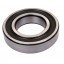 237749 Claas, F04010186 Gaspardo, 319 8608 LEMKEN - Deep groove ball bearing 6209-2RS1 [SKF]