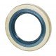 Oil seal 50x80x10 B1SL (NBR) 12001397B [Corteco]