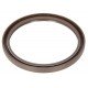 Oil seal 1447049M1, 1447691M1 MF- 12010753B [Corteco]