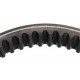 Variable speed toothed belt 45J2498 [Roflex]