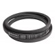 Classic V-belt 545668 suitable for Claas [Continental Conti-V]