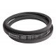 Classic V-belt 545668 suitable for Claas [Continental Conti-V]