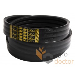 Wrapped banded belt 0224247 [Gates Agri]
