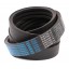 Wrapped banded belt 1720255M1 Massey Ferguson [Roulunds Roflex-Joined]