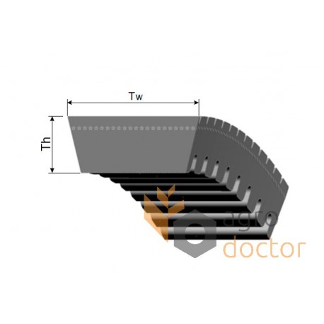 Variable speed belt 43J-2440 [Continental AGRIDUR] - 667530 suitable for Claas