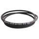 D41972100 Double (hexagonal) V-belt suitable for Massey Ferguson HBB122 [Conti-V Continental]