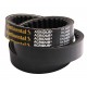 Variable speed belt D41980700 Dronningborg [Continental Agridur]