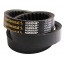 Variable speed belt D41980700 Dronningborg [Continental Agridur]