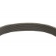 Multiple V-ribbed belt PK 0285294 [Gates Agri]