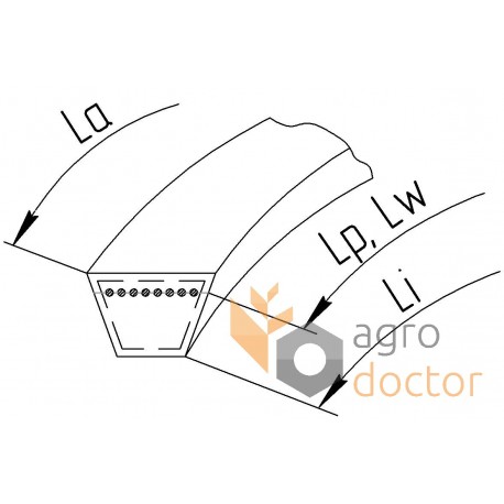 Courroie trapézoïdale 545668 adaptable pour Claas [Continental Conti-V]