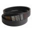 D41990065 Massey Ferguson [Continental] Wrapped banded belt - 370.017.4 Agridur