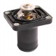 Thermostat - 4133L036 Perkins [Agro Parts]