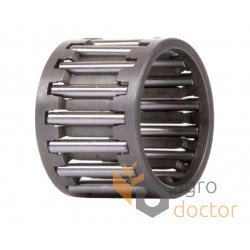 417292M91 Massey Ferguson - K19x23x17 - [NTN] - Needle roller bearing