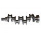 Crankshaft 3637401M91 Massey Ferguson [Genmot]