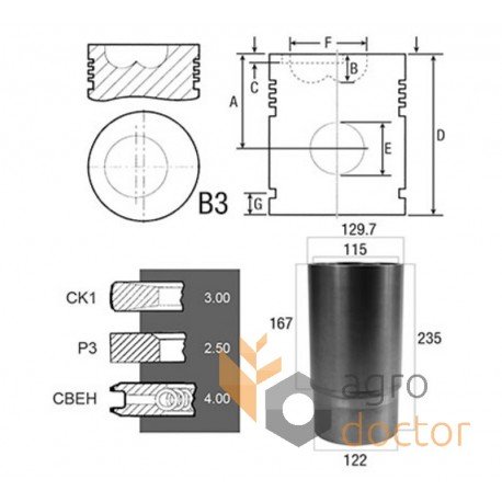 Piston kit set 23/31-264 for Fiat diesel engine, 3 rings