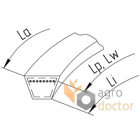 Classic V-belt (D-4216Lw) 630144.0 suitable for Claas [Continental Conti-V]