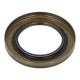 Oil seal 60x95x10 ACM B1BASLDRWX7 - 846240 Same, Lamborghini, Hurlimann - 12015981B Corteco