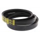 0006679580 suitable for Claas Lexion - Wrapped banded belt 1423217 [Gates Agri]