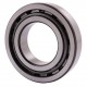 215115 Claas [NTN] Cylindrical roller bearing