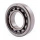 243439 Claas Vario - 82848311 New Holland [NTN] Cylindrical roller bearing