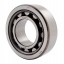 239120 suitable for Claas [NTN] Cylindrical roller bearing
