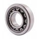 243535 Claas [NTN] Cylindrical roller bearing