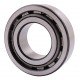 243497 Claas [NTN] Cylindrical roller bearing