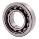 238962 Claas [NTN] Cylindrical roller bearing