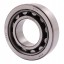 238962 suitable for Claas [NTN] Cylindrical roller bearing