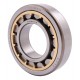 243436 Claas [NTN] Cylindrical roller bearing