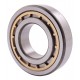 243436 Claas [NTN] Cylindrical roller bearing