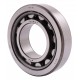 243436 Claas [NTN] Cylindrical roller bearing