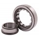 243436 Claas [NTN] Cylindrical roller bearing