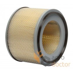 Air filter C 20 019 [MANN]