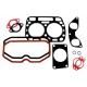 Gasket set 3051138R92 CASE - engine top end