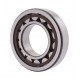 238963 Claas [SKF] Cylindrical roller bearing