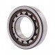 238963 Claas [SKF] Cylindrical roller bearing