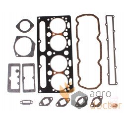 Gasket set 4224307M91 Massey Ferguson - engine top end