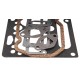 Gasket set 4224307M91 Massey Ferguson - engine top end