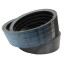 Wrapped banded belt 4HB-2240 [Roflex]