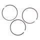 Piston ring set 4181A026 Perkins, 3641316M91 Massey Ferguson