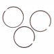 Piston ring set 4181A026 Perkins, 3641316M91 Massey Ferguson