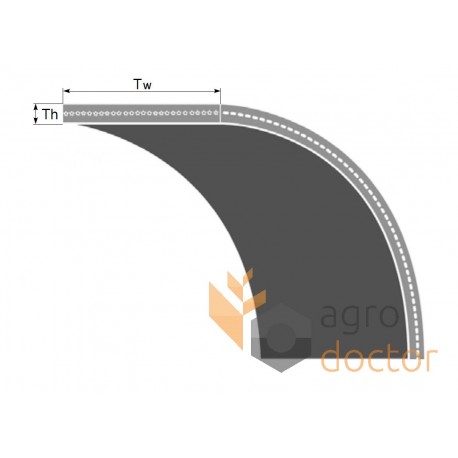 Flat belt 100x3650 [Agrobelt]