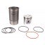 Piston-Liner Kit AR71593 John Deere, 3 rings [Bepco]