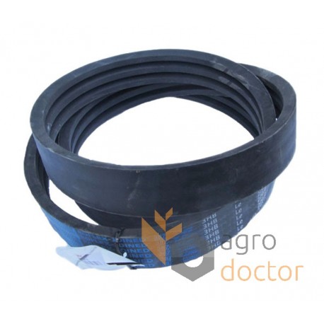 Wrapped banded belt 3HB-3095 [Roflex]