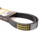 Multiple V-ribbed belt 8PK2110 [Continental] Agridur