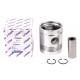 Piston with wrist pin for engine - 55737 Perkins 5 rings