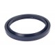 Scraper sealing ring 45х55,6х5,3