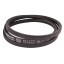 Classic V-belt 644181 suitable for Claas [Continental Conti-V]