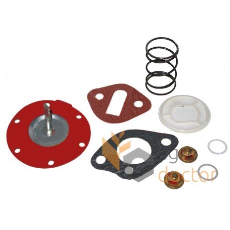 Perkins engine fuel pump repair kit - ULPR0004